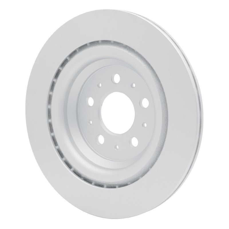 R1 17-25 Tesla Model 3 Rear GeoSPEC Coated Rotor