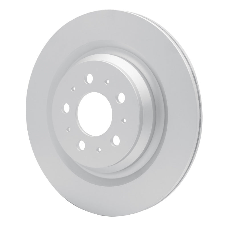 R1 17-25 Tesla Model 3 Rear GeoSPEC Coated Rotor