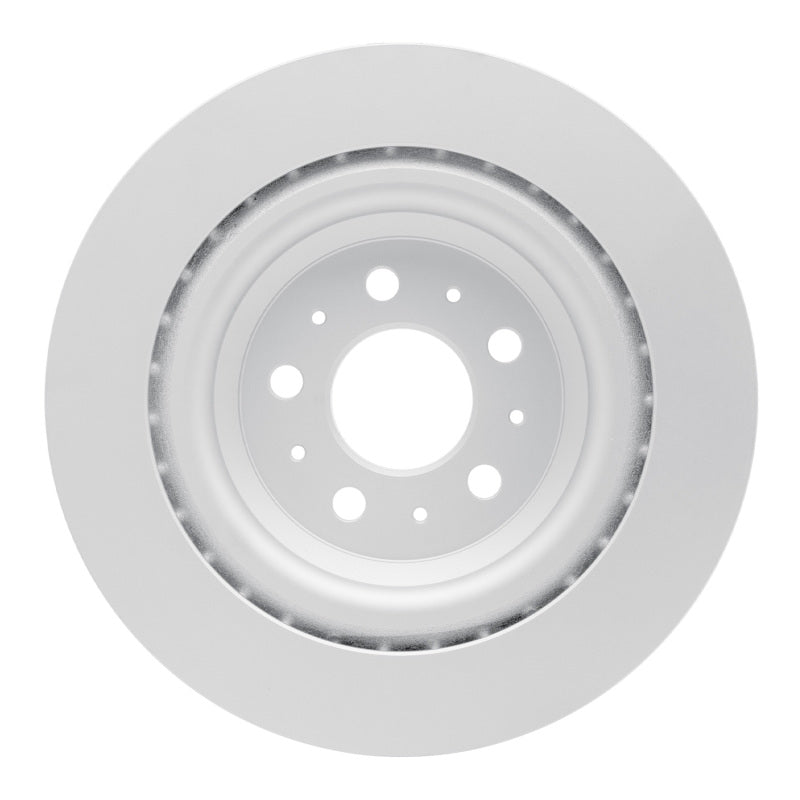 R1 17-25 Tesla Model 3 Rear GeoSPEC Coated Rotor